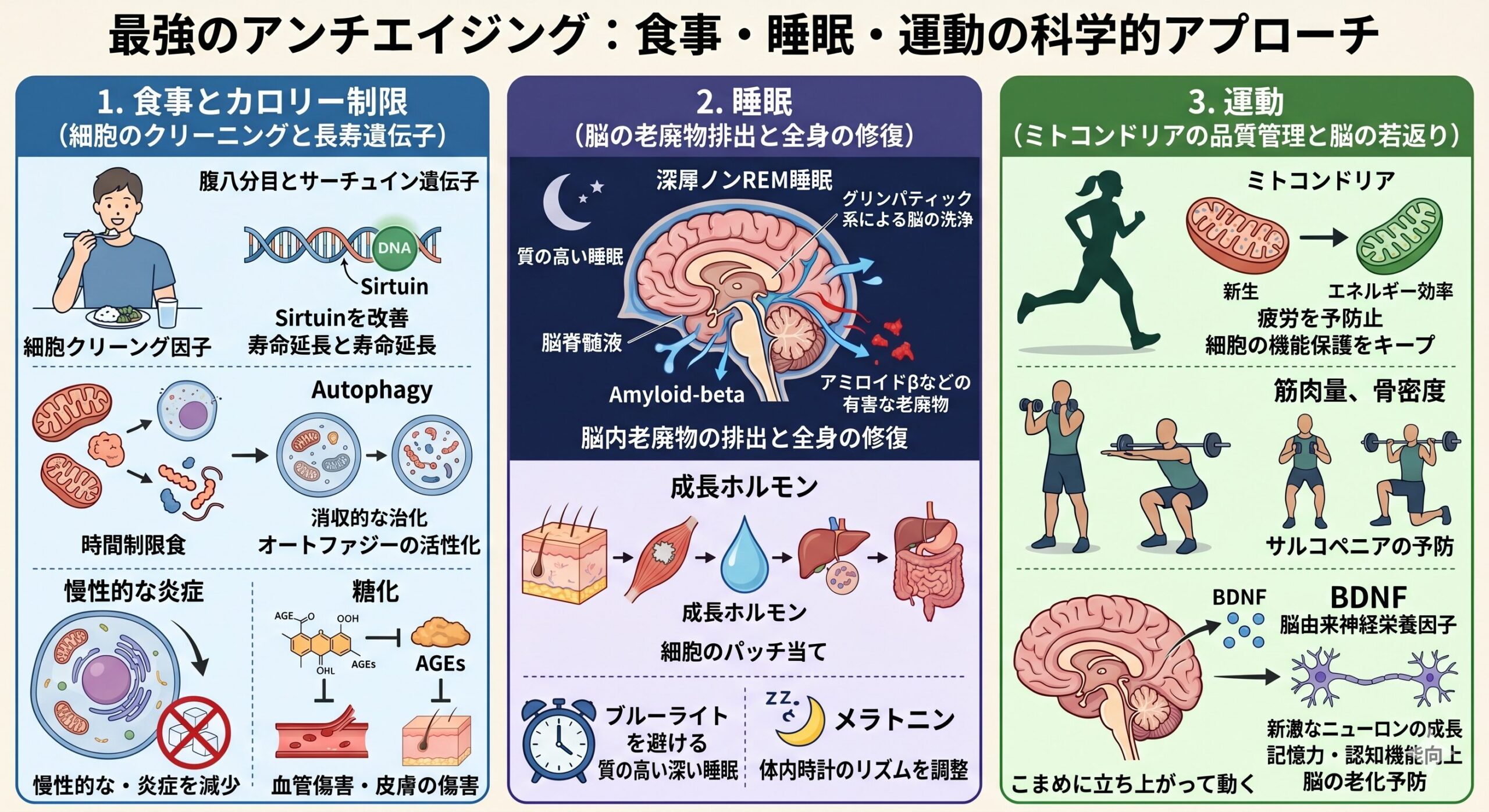 健康に良いことって何